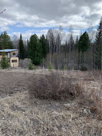 Участок 11 сот. (СНТ, ДНП)