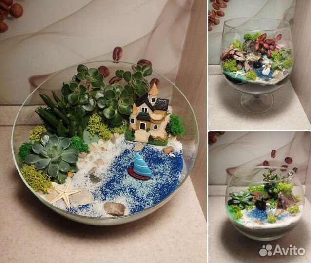 Необычный подарок, композиция, цветы, флорариум