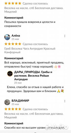 Гриб кордицепс на масле веселка лисичка мед шиитак