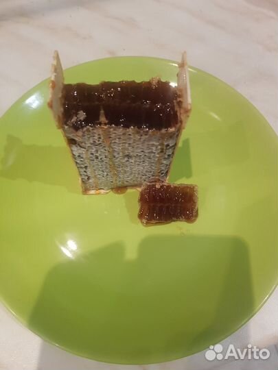 Сотовый мед с Алтая