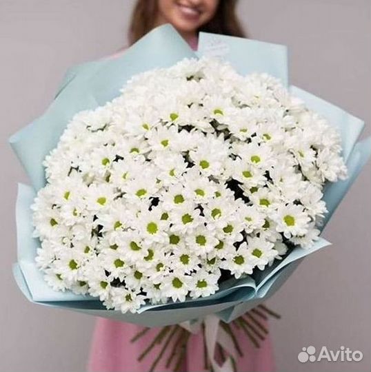 Хризантема