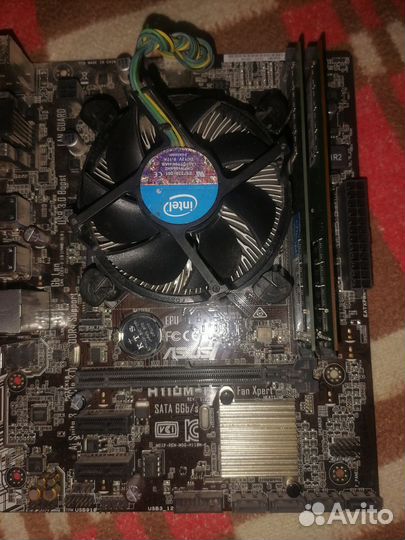 Комплект g4560 ddr4 8gb