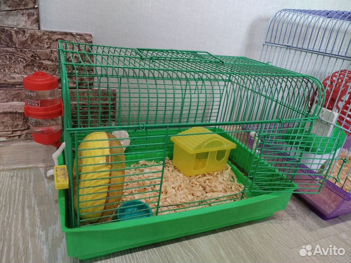 Клетка для джунгарского хомяка