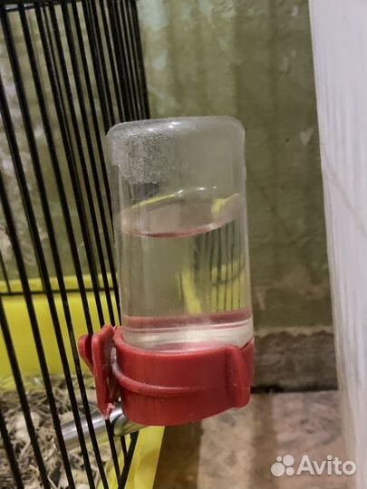Клетка для хомяков