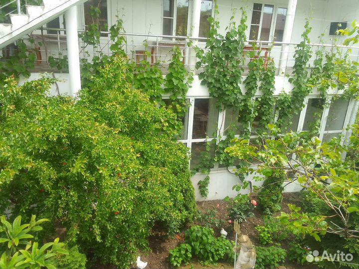 Сдам гостиницу на сезон 2024