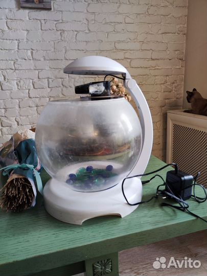 Аквариум для небольшой рыбки