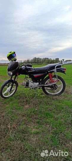 Alpha bandit sport