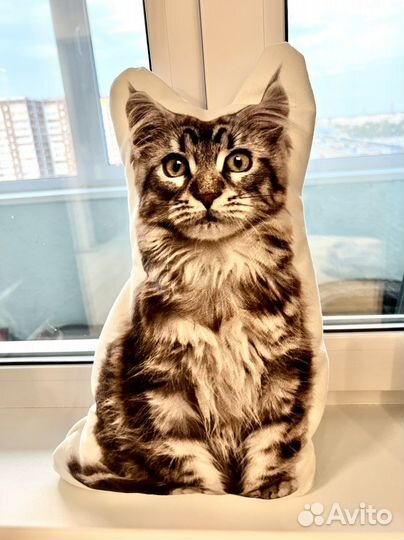 Подушка декоративная кот Мейн-кун