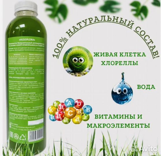 Живая микроводоросль Хлорелла 1 литр