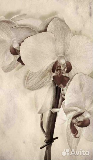 Панно объемное на холсте 88х150 ART 063 Дизайн Mom