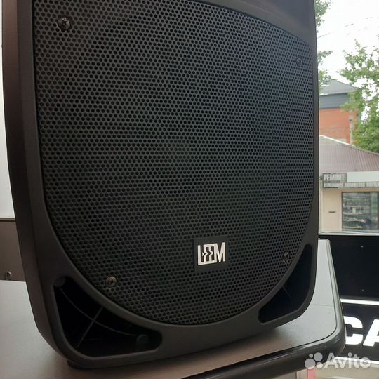 Акустическая система с микрофонами и аккумулятором