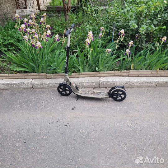 Самокат