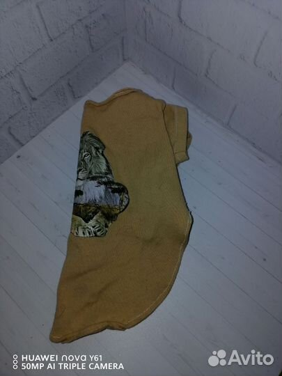 Одежда для маленькой собачки