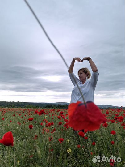 Туры по Крыму