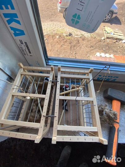 Щегол и птицы