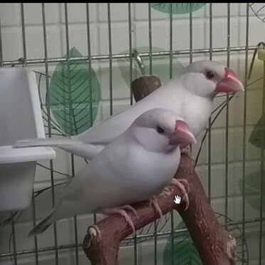Уход на время отпуска