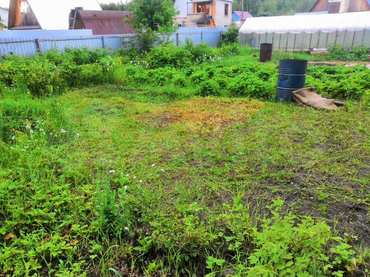 Дача 50 м² на участке 8 сот.