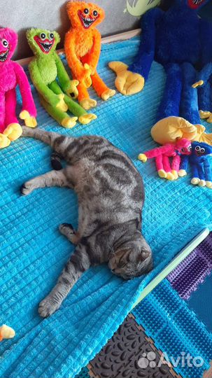 Хаги ваги игрушки набор