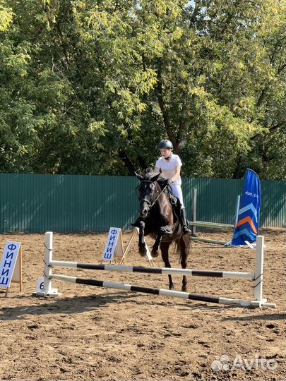 Обучение верховой езде, конкур, выездка