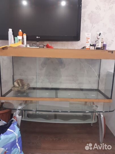 Аквариум,Террариум