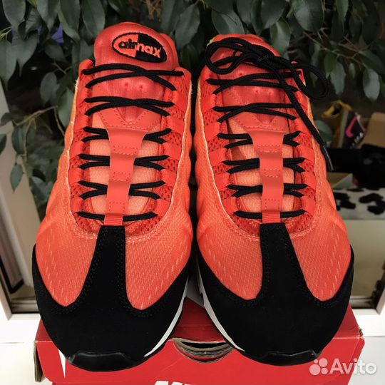 Nike Air Max 95 Sunset 2012 force vapor tl tn shox