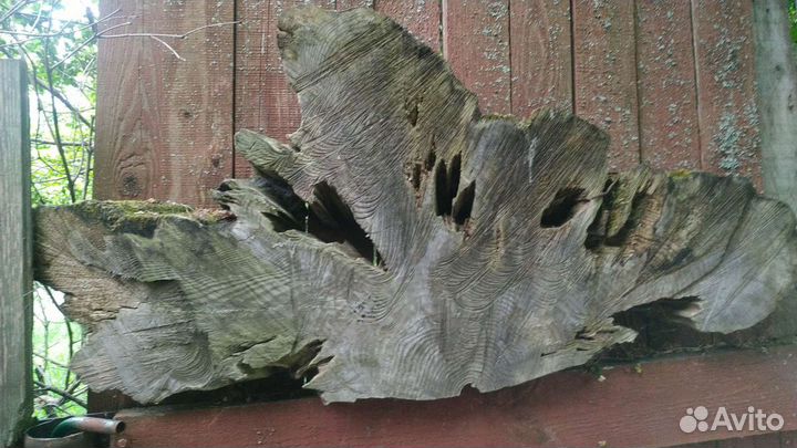 Коряги декоративные