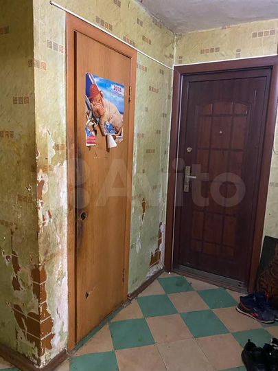 3-к. квартира, 55,8 м², 4/5 эт.