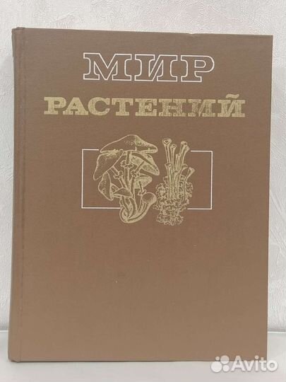 Мир растений. Грибы