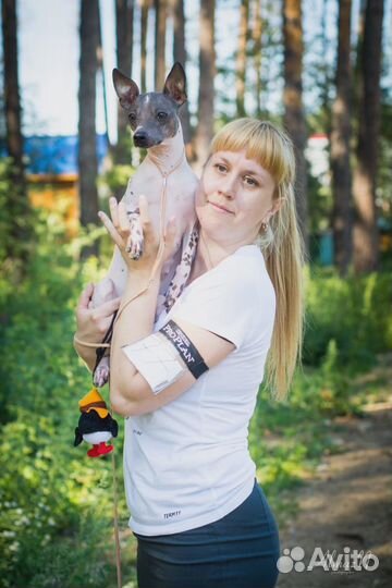 Хендлер / Подготовка собак / Выставки собак