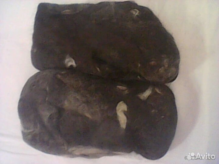 Шерсть собачья\\Цена за 100 грамм\\Всего 1286грамм