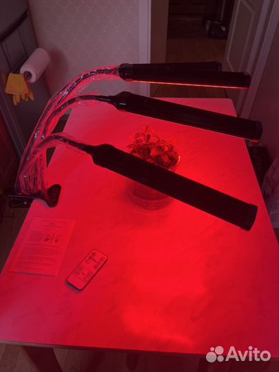 Идеальный свет для растений, фитолампы