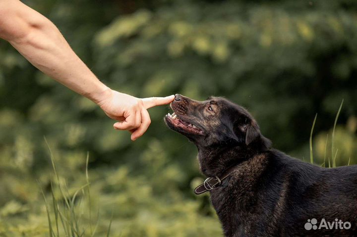 Солнечная Кайли ищет семью