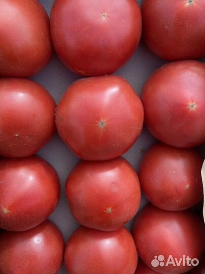 Помидор азербайджан ящик 16кг 3ряда