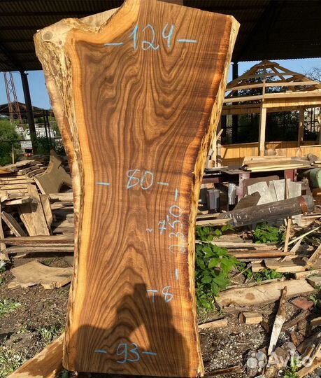 Слэбы карагач