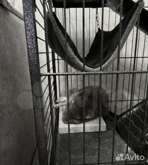 Охлаждающая плитка камень для шиншилл