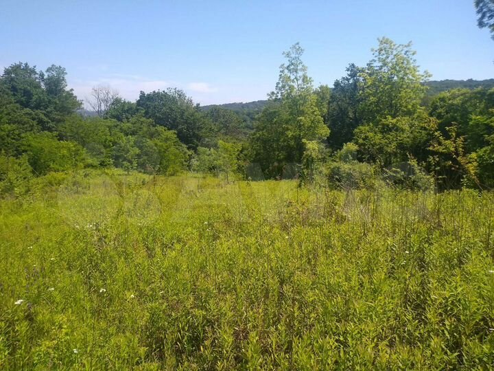 Участок 1,15 га (ИЖС)