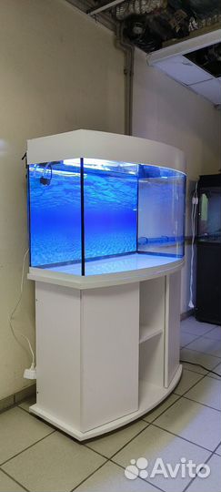 Аквариум 200 свет биофильтр фон подставка