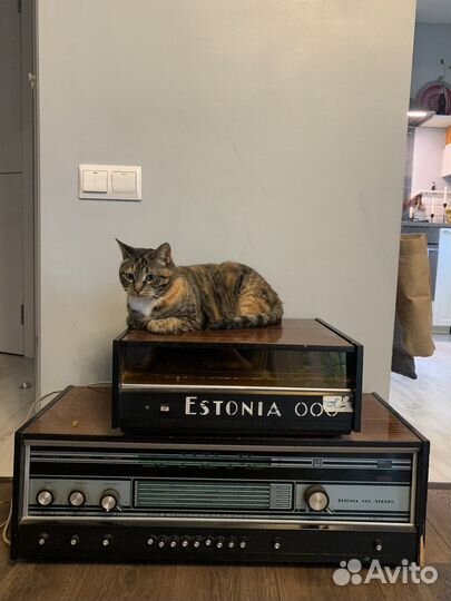 Радиола и проигрыватель Эстония 006 стерео