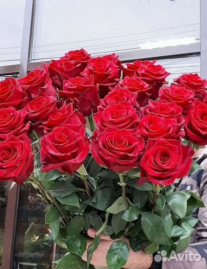 Высокие Розы с Доставкой