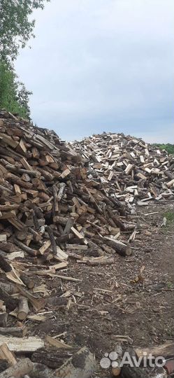 Продам колотые дрова