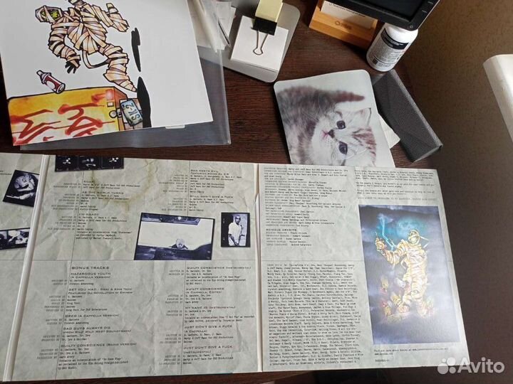 Eminem - Slim Shady LP