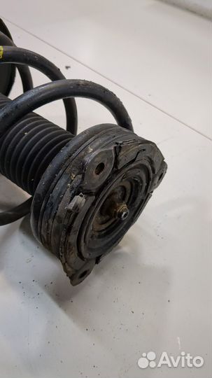 Амортизатор подвески правый передний Nissan Murano, 2009