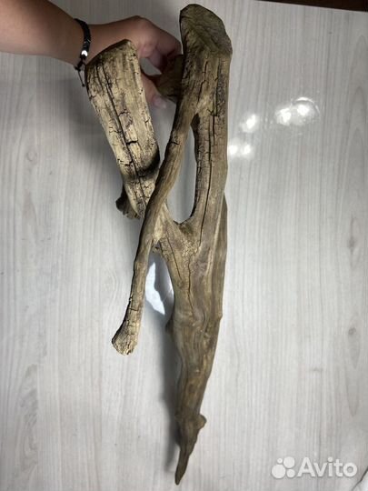 Коряги для аквариума