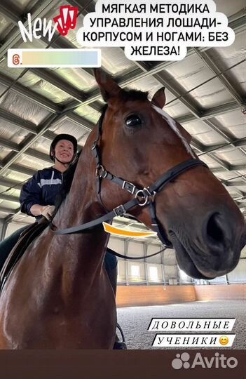 Обучение верховой езде