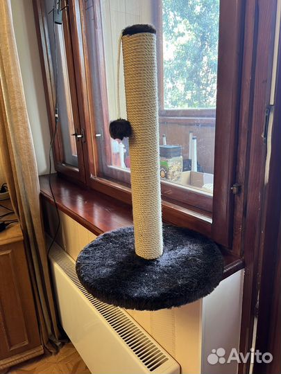 Когтеточка