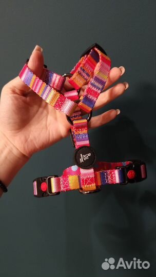 Шлейка анатомическая для собак