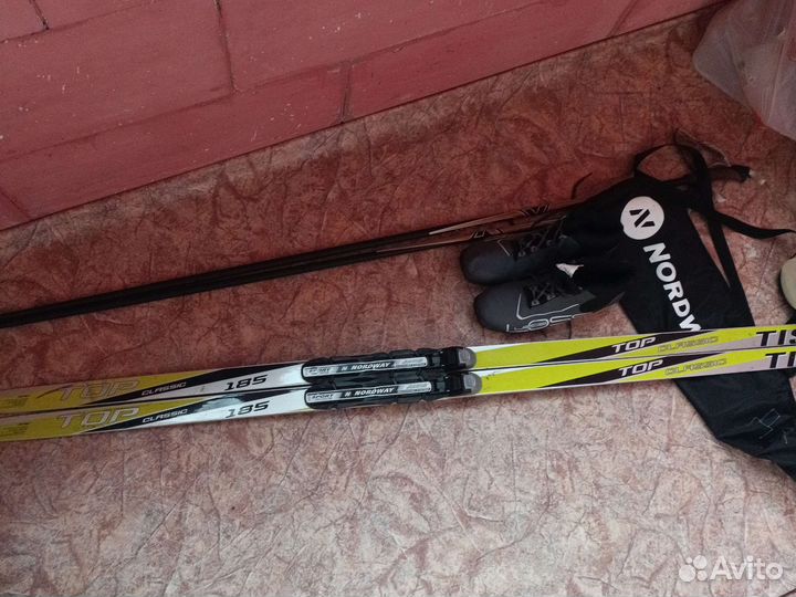 Беговые лыжи