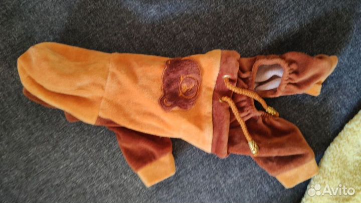 Велюровый костюм для маленькой собаки