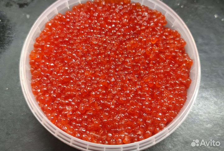 Красная икра 2023