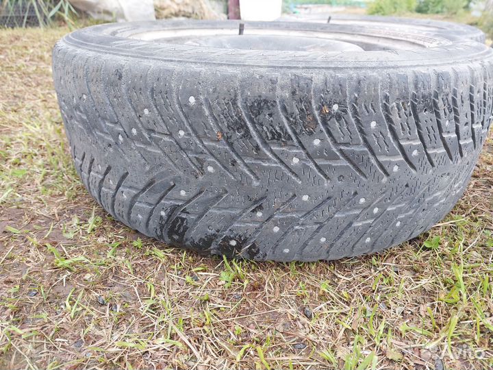 Nokian Tyres Hakkapeliitta 8 205/55 R16